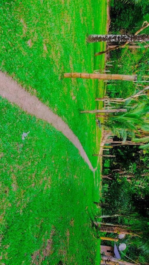 Parati Casa ภายนอก รูปภาพ