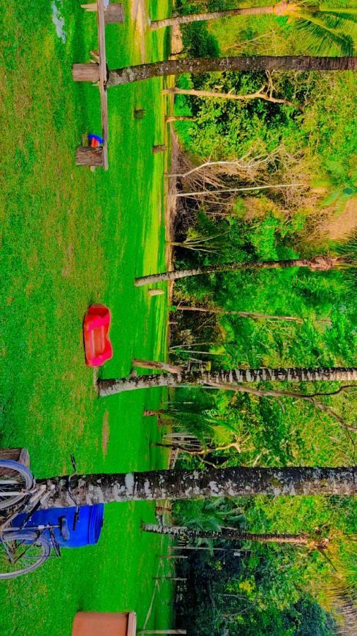 Parati Casa ภายนอก รูปภาพ